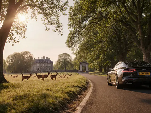 Top London Parks for Scenic Drives: A Local’s Guide